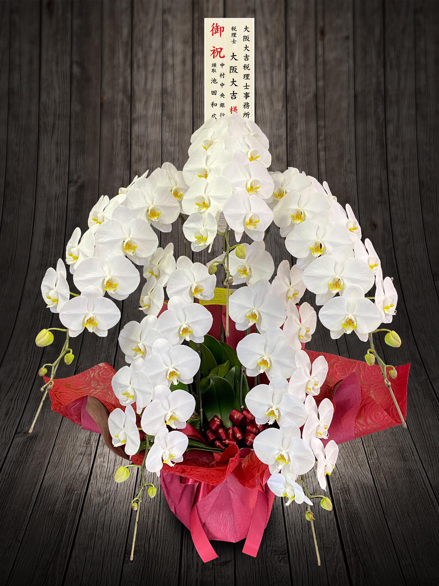 白胡蝶蘭5本立ち - 大阪府松原市の花屋「花の店 おおさかや」